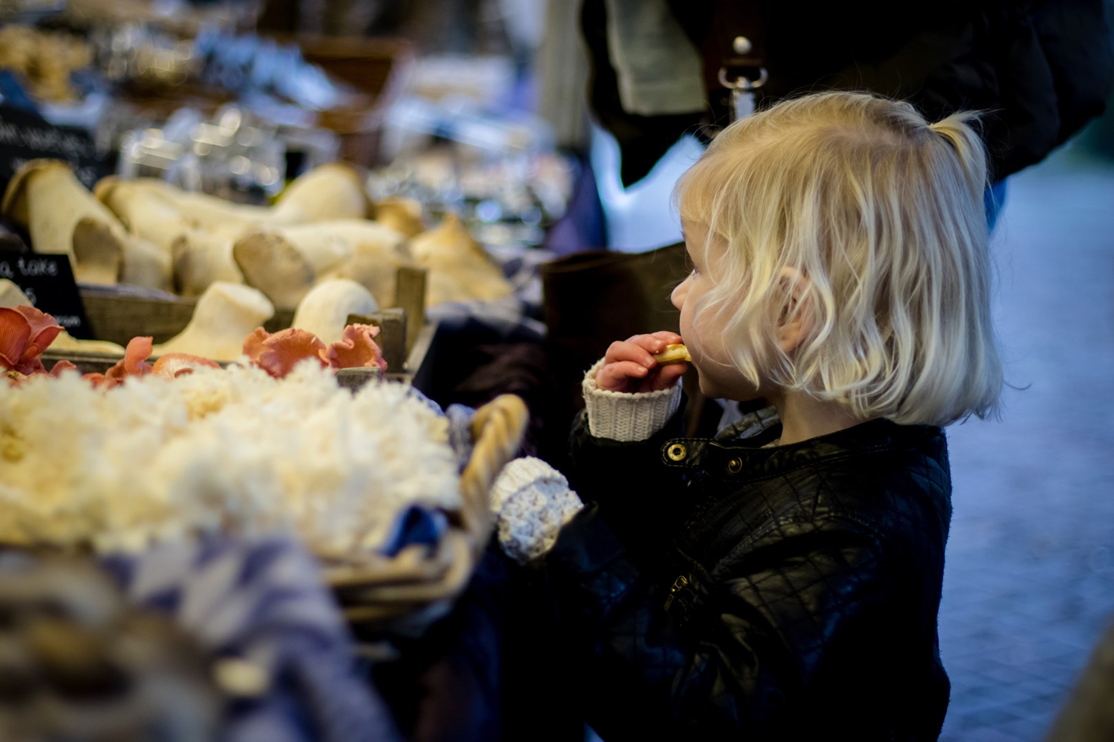 Boeren Kerstmarkt VVV Amersfoort